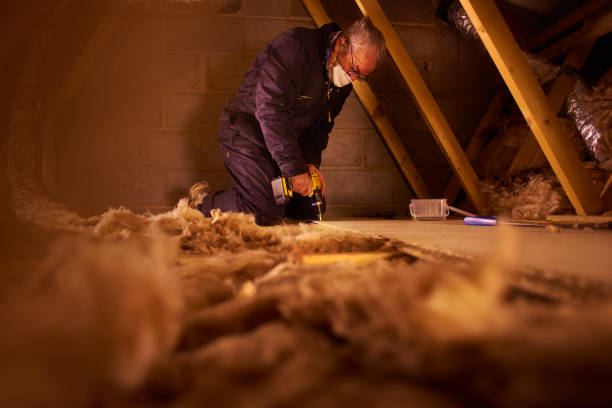 Best Cellulose Insulation in Guernsey, WY